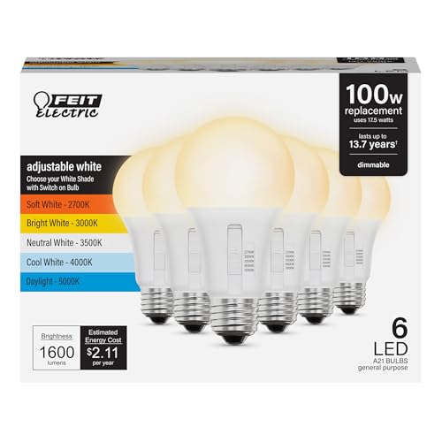 A19 LED Light Bulb (10 Count)