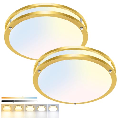 2 Pack Flush Mount Ceiling Light Fixture (2 Count)