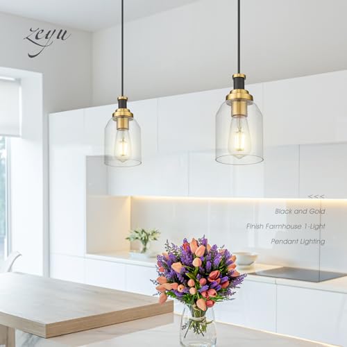 2 Pack Black Gold Hanging Kitchen Lights (2 Count)