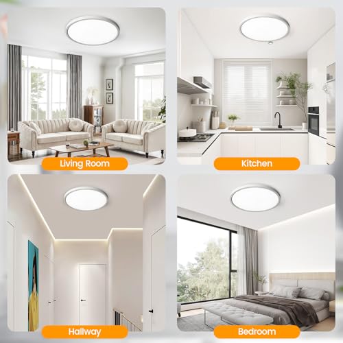 Ceiling Light (4 Count)