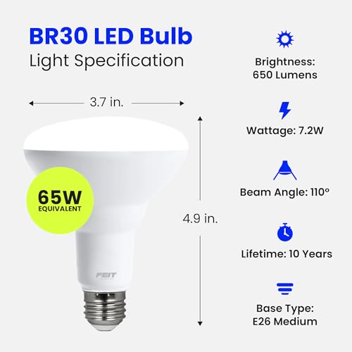BR30 LED Light Bulbs (12 Count)