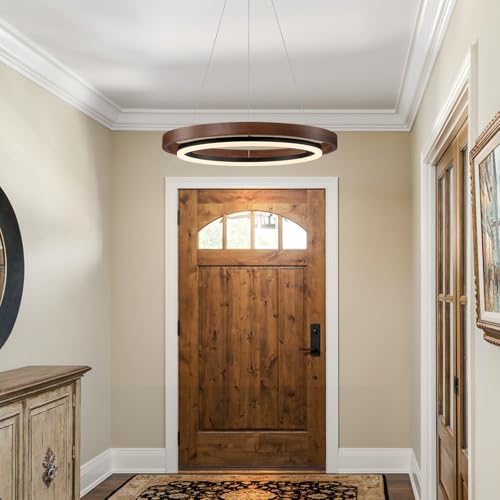Modern LED Chandelier