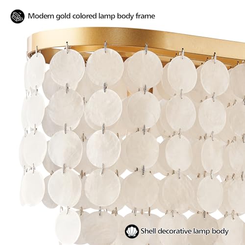 5 Light Capiz Shell Rectangular Chandelier