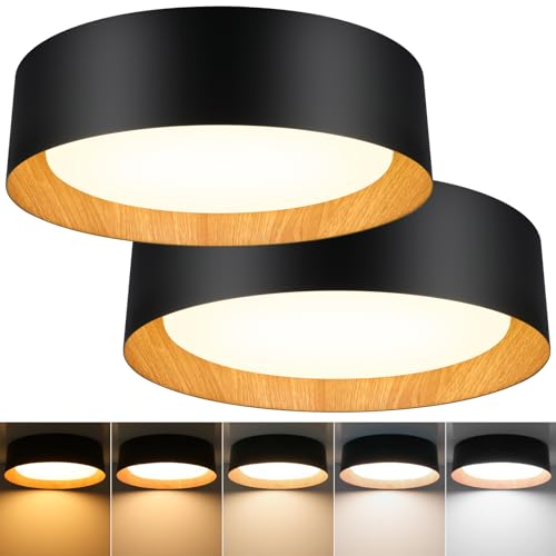 Flush Mount Ceiling Light