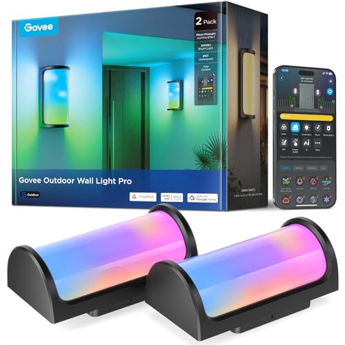 Outdoor Wall Light Pro (2 Count)