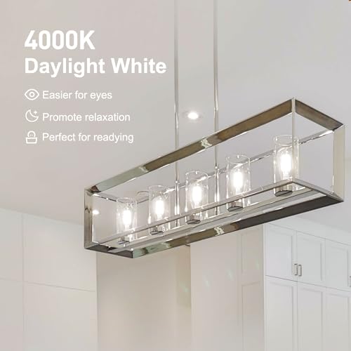 LED Edison Light Bulbs (10 Count)