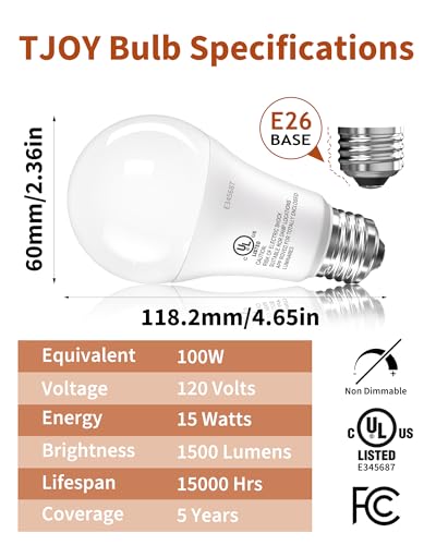 LED Light Bulbs (6 Count)