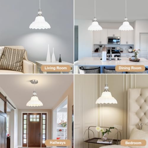 1 Piece Chandelier in Brushed Nickel Finish with White Flower (1-Light / Nickel and White)