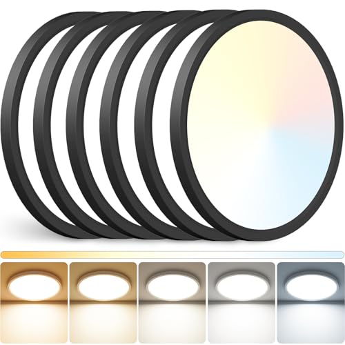 12 inch LED Ceiling Light (6 Count)