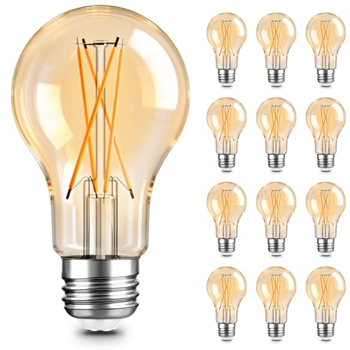 A19 LED Edison Light Bulb (12 Count)