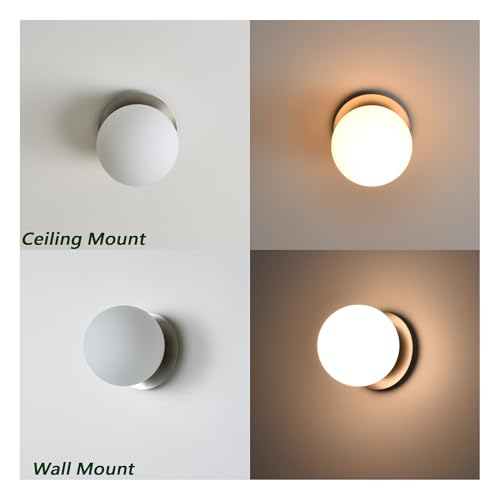 Wall Sconces 1 Light Modern Globe Sconce in Brushed Nickel