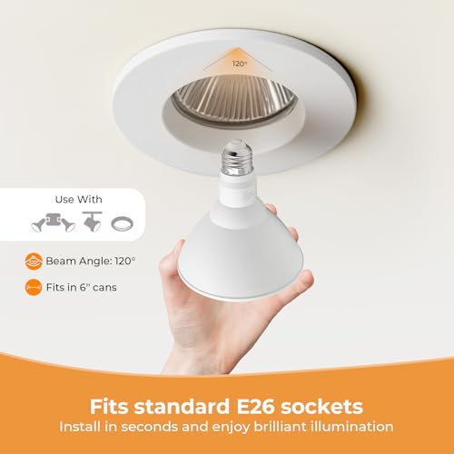 10 Pack PAR38 Outdoor Flood Light Bulbs (10 Count)