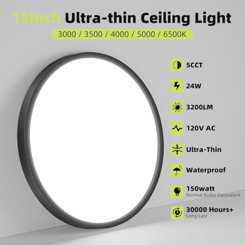 LED Flush Mount Ceiling Light