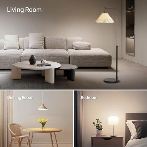 A19 LED Light Bulbs (6 Count)