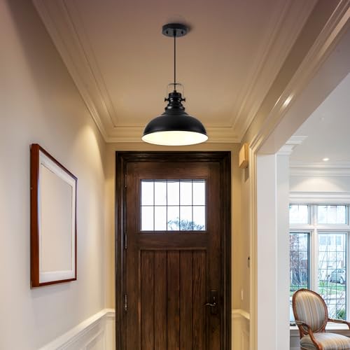 Industrial Pendant Light Fixture