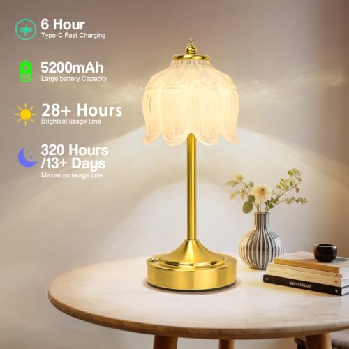 Cordless Table Lamp