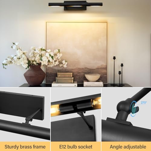 Black Art Picture Frame Wall Light