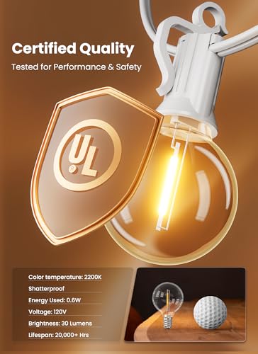 Outdoor String Lights (69 Foot)
