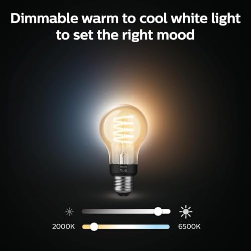 Smart 40W A19 Filament LED Bulb