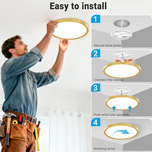 2 Pack LED Flush Mount Ceiling Light (2 Count)