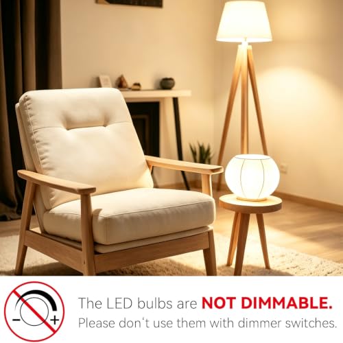 A19 LED Light Bulbs (24 Count)