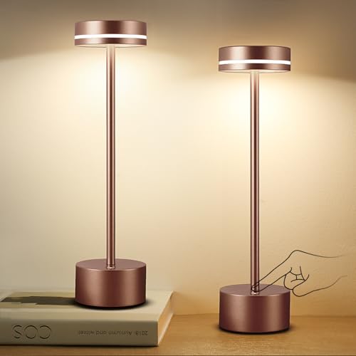 2 Pack LED Cordless Table Lamp Rechargeable (2 Count)