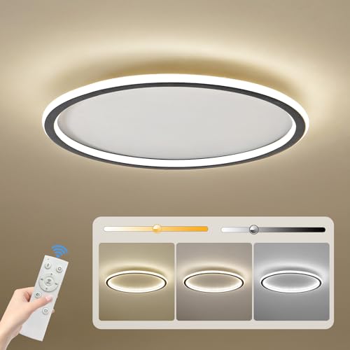19.68 Inch Flush Mount Ceiling Light