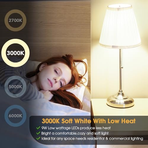 A19 LED Light Bulb (12 Count)