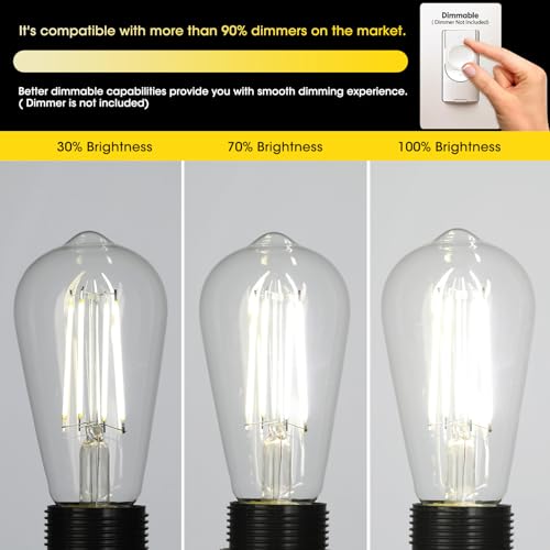 LED Edison Bulbs (4 Count)