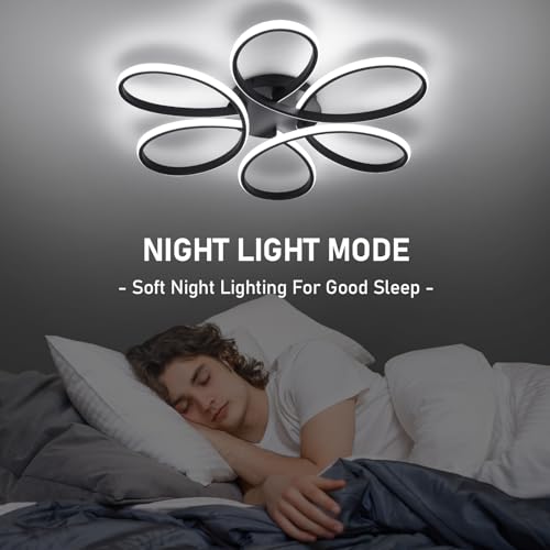 26inch Modern LED Ceiling Light