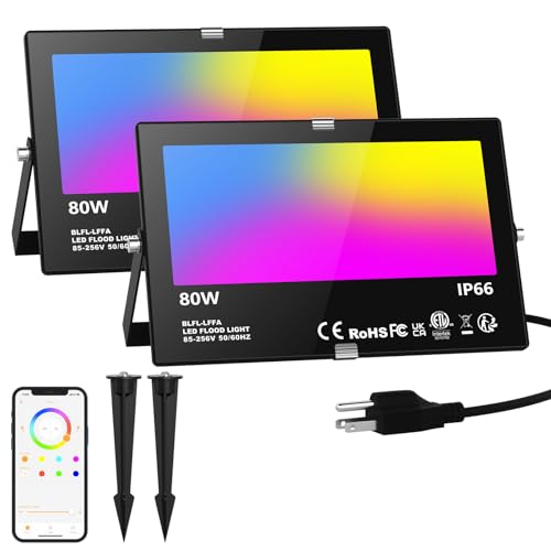 LED Flood Light Outdoor 800W Equivalent 8000LM (2 Count)