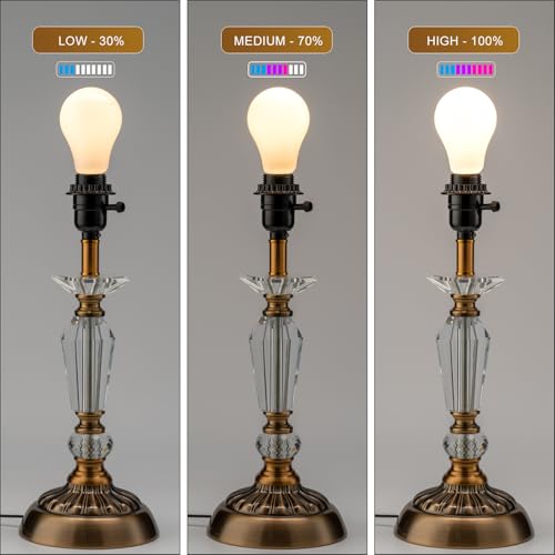 3 Way Light Socket with Lamp Shade Ring