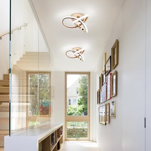 Modern LED Ceiling Light