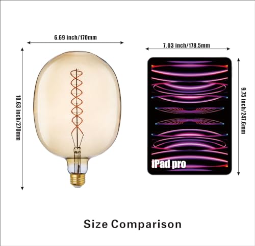 D170 Large LED Decorative Light Bulb Dimmable 8W 450lm E26 2200K 1PC
