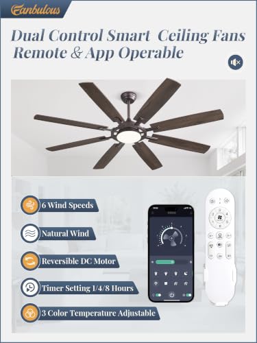 65 Inch Black Ceiling Fans with 3CCT Lights and Remote (Oil Bronze / 65")