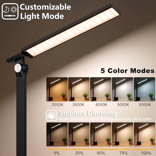 Desk Lamp for Home Office (Matte Black)