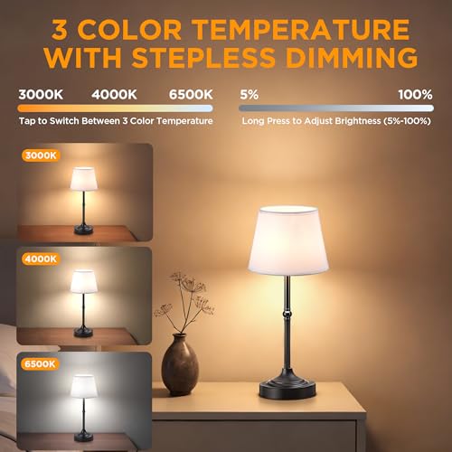 2 Pack Cordless Table Lamp (2 Count)