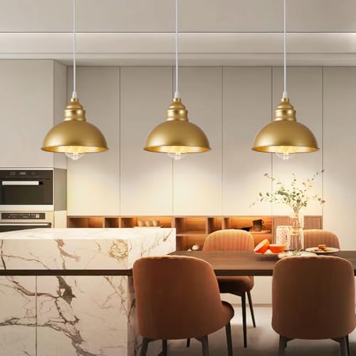 Plug in Pendant Light