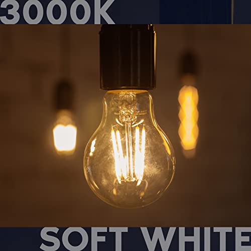 Vintage A19 LED Light Bulbs 100W Equivalent (2 Count)