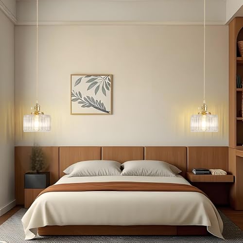 Plug in Pendant Light