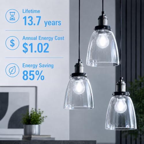 A19 Vintage Dimmable LED Light Bulbs (12 Count)