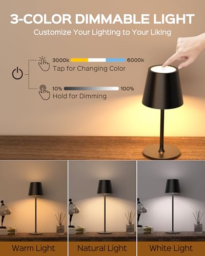 Cordless Table Lamps Rechargeable (2 Count)