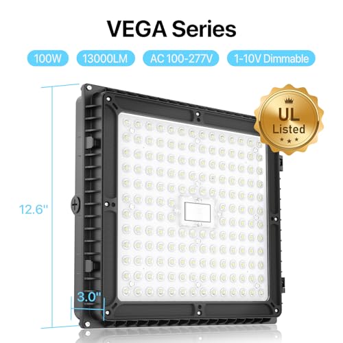 100W LED Canopy Lights (2 Count)