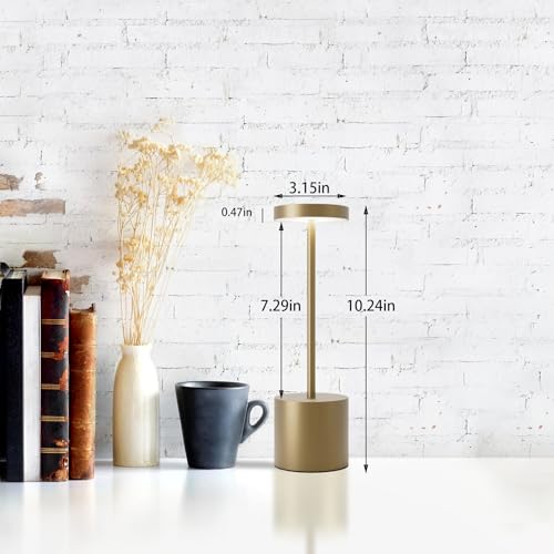 LED Cordless Table Lamps Set of 2
