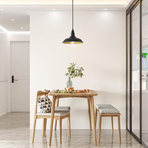 Farmhouse Pendant Lights with 10 Inch Dome