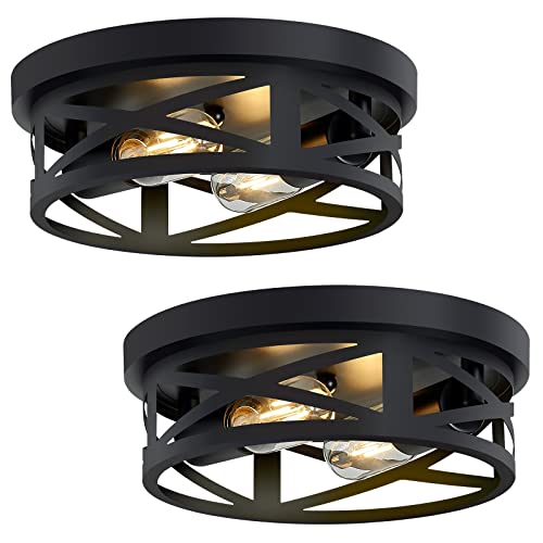 Flush Mount Ceiling Light Fixture (2 Count)