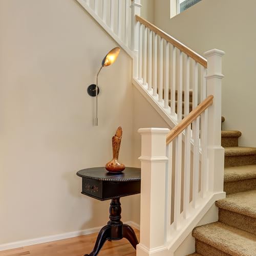 Black and Gold Wall Sconce