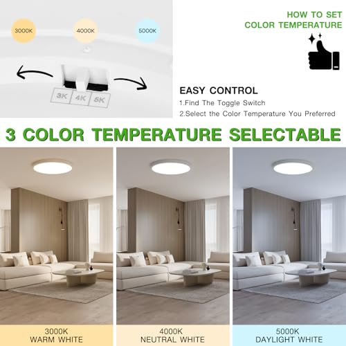 2 Pack 12 Inch LED Flush Mount Ceiling Light Fixture (2 Count)