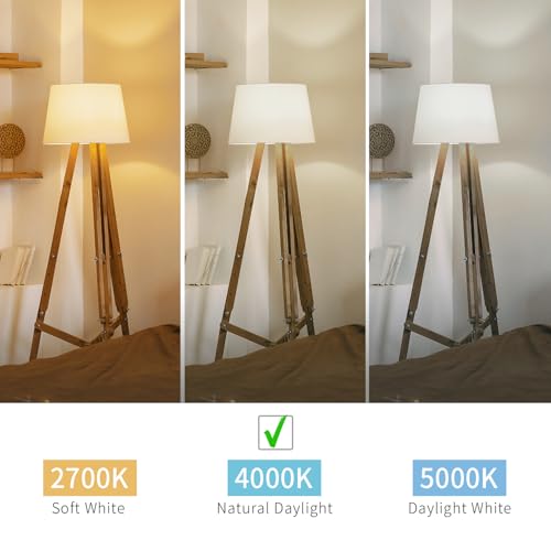 12Pack Dimmable ST58 Vintage LED Edison Bulbs 6W Equivalent 60W (12 Count)