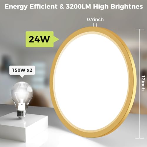 LED Flush Mount Ceiling Light Fixture Golden